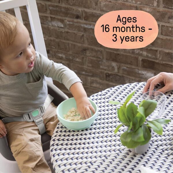 Ingenuity SmartClean Toddler Booster Seat for Kitchen Chair – Lightweight for on-the-go, Easy-Clean, 3-Point Harness Strap – Booster Seat for Dining Table, Slate - Image 3