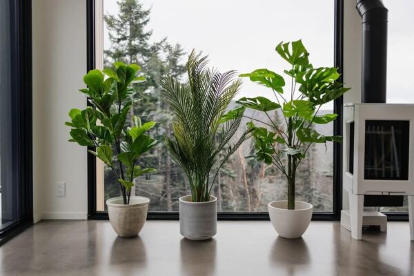 Naturae Decor Fiddle Leaf Tree - Lifelike Artificial Indoor and Outdoor House Plant - UV Resistant - 35 in High - Image 6