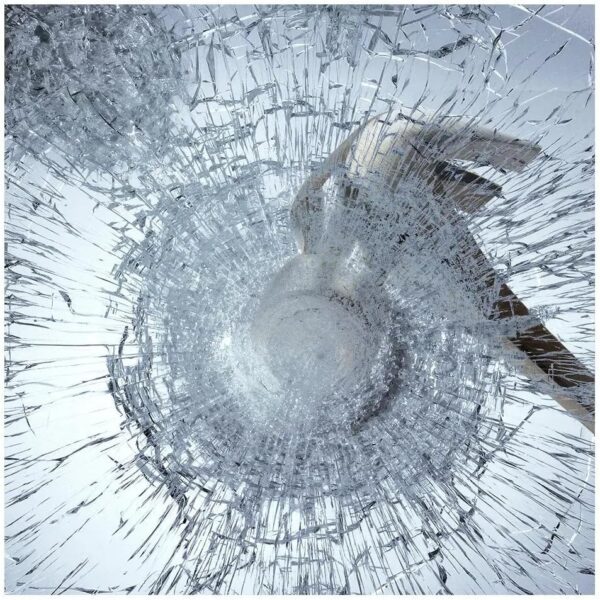 BDF S8MC Window Film Security and Safety 8 Mil Clear - 36in X 24ft