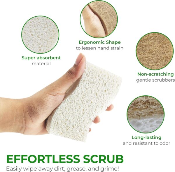 Natural Kitchen Sponge - Biodegradable Compostable Cellulose and Coconut Scrubber Sponge - Pack of 12 Eco Friendly Sponges for Dishes - Image 7